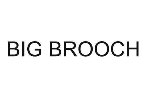 Дизайнер BIG BROOCH
